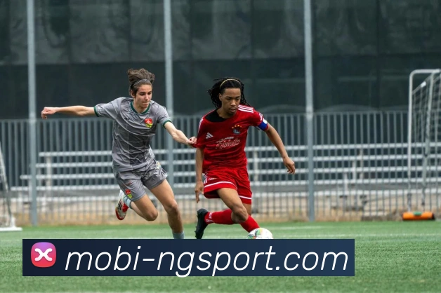 南宫体育平台生态图